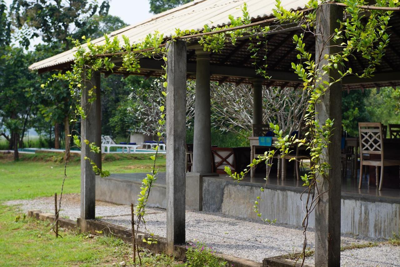 Sevanagama Guest House Habarana Luaran gambar